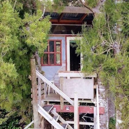 ホテル The Treehut At The Rabbithole, Upper Hutt Akatarawa エクステリア 写真